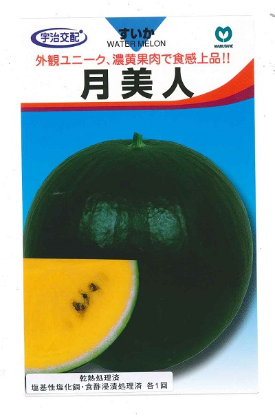 蔬菜内果皮 黄肉スイカ「月美人」7粒／20粒／50粒／200粒（丸種）【貨物輸送込み】 つきびじん ツキビジン 西瓜 すいか 皮膚軟化剤スイカ 冷ややかさ押しひろげる性 着果性