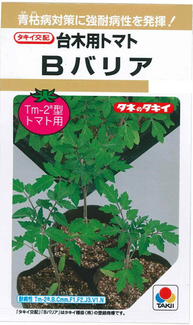 落ちてる茄子 ila00631.jpg