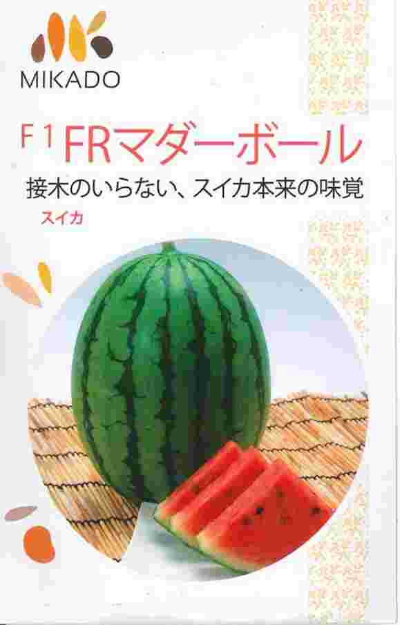 【一般受け変種】蔬菜内果皮 小玉スイカ「FRマダーボール」8粒／200粒（ヴィルモランみかど）【貨物輸送込み】 ラグビーボール型西瓜 すいか 耐病性 花・ガーデン・DIY-種子-野菜の種子