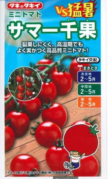 草片内果皮 高品等ミニ赤ナス「炎節千果」7粒／1,000粒（タキイ種苗）【貨物輸送込み】 炎節チカ 炎節ちか 高熱着果性 耐裂果性 結びあわせる耐病虫性 身寄り家庭菜園