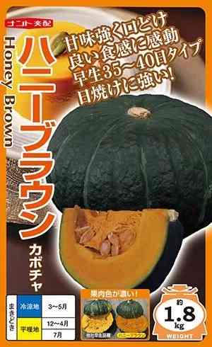 蔬菜内果皮 口溶け西洋カボチャ「ハニーブラウン」7粒／30粒／100粒／500粒（ナント種苗）【貨物輸送込み】 西洋カボチャ かぼちゃ 虚蝉かん木 粉質 身寄り家庭菜園 早生 NS-030