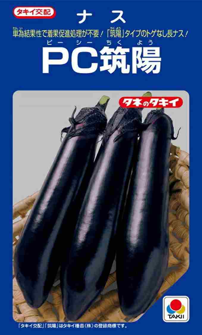 蔬菜内果皮 茄子「パソコン筑陽」15粒／100粒／300粒／500粒／1,000粒（タキイ種苗）【貨物輸送込み】 長茄 ながなす ピーシーちくよう ピーシーチクヨウ