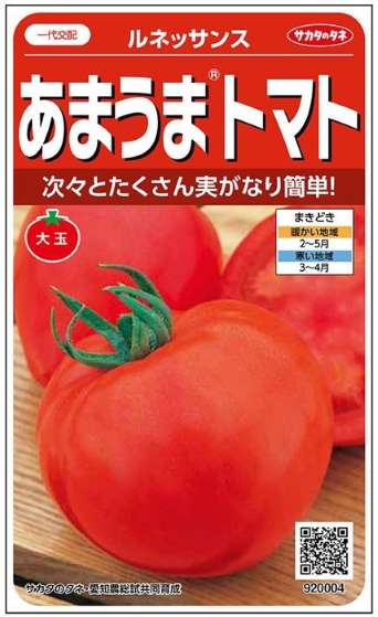 草片内果皮 あまうま赤ナス「文芸復興」15粒／1,000粒（サカタのタネ）【貨物輸送込み】 フルーツ赤ナス 大玉とまと ハート型型 多収 高糖度 身寄り家庭菜園