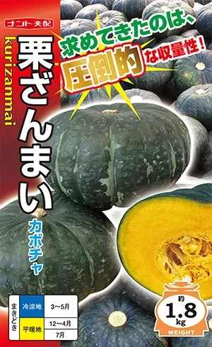 蔬菜内果皮 西洋カボチャ「栗ざんまい」7粒／30粒／100粒／500粒（ナント種苗）【貨物輸送込み】 くりざんまい 西洋カボチャ かぼちゃ 超上がり高性 着果性 身寄り家庭菜園 中晩生