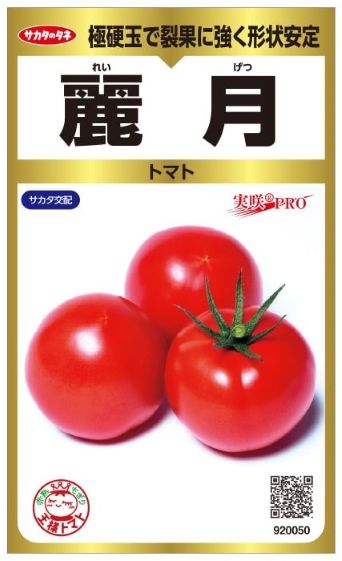 草片内果皮 大玉赤ナス「麗月」40粒／1,000粒（サカタのタネ）【貨物輸送込み】 れいげつ レイゲツ 王さま赤ナス とまと 高秀品率 つら構え釣りあい性 着果性 肉付きのよい性 日持ち性 病み煩い持ちこたえる性 耐虫性 多収 夏秋作りだす 身寄り家庭菜園