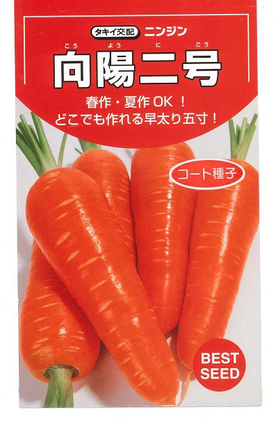 ニンジン　種　アロマレッド　１万粒　2袋 人参] アロマレッド コート1万粒 (株)トーホク(野菜種/人参