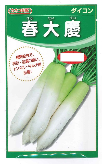 蔬菜内果皮 清白「春大慶」220粒／800粒／8,000粒／ペレット5,000粒（カネコ種苗）【貨物輸送込み】 はるたいけい 大根役者 だいこん 極晩抽性