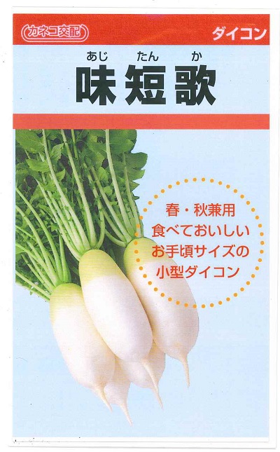 草片内果皮 小型清白「味短歌」160粒（2.5ml）／500粒／1,000粒／10,000粒／ペレット90粒（カネコ種苗） 【貨物輸送込み】大騒ぎたんか 大騒ぎタンカ 小型大根役者 だいこん 春親族グループ 秋親族グループ 身寄り家庭菜園 直売所 晩抽性
