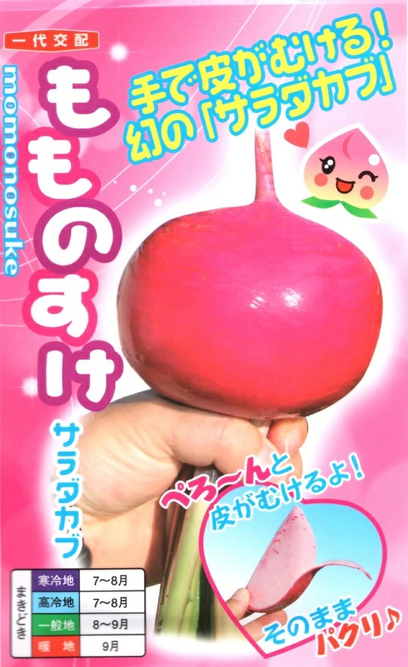 草片内果皮 サラダ菜小僧「もものすけ」1ml（約240粒）／10ml／20ml／50ml／1デシリットル（ナント種苗）【貨物輸送込み】 モモノスケ 中蕪 中かぶ フルーツ小僧 桃 桃 桃 サラダ菜