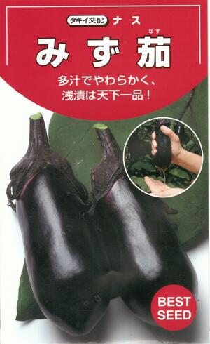 草片内果皮 茄子「みず茄」50粒／200粒／500粒／1,000粒／2,000粒（タキイ種苗）【貨物輸送込み】 水茄 水茄子 みずなす