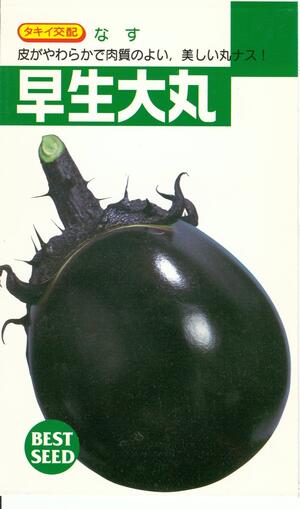 草片内果皮 丸茄子「早生大丸」80粒／2,000粒（タキイ種苗）【貨物輸送込み】わせお便器 丸茄 丸なす 丸茄子