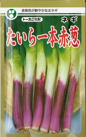 楽天市場 野菜種子 葱タネ トーホク交配 東北種苗 たいら一本赤葱 ３ｍｌ袋詰 送料無料 鈴乃園 楽天市場店