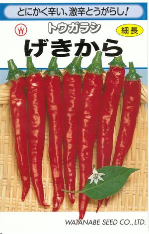 楽天市場 野菜種子 トウガラシタネ 渡辺採種場 げきから １ ８ｍｌ袋詰 送料無料 鈴乃園 楽天市場店