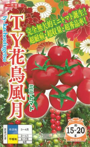 蔬菜内果皮 ミニ赤なす「TY花鳥風月」15粒／50粒／200粒／500粒（ナント種苗） 【貨物輸送込み】 TYかちょうふうげつ 超耐病 超多収 超秀品率 促成長日月冬越し作 夏秋作 抑生み出すこと 身寄り家庭菜園