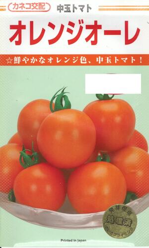 野菜種子 中玉トマト「オレンジオーレ」13粒/50粒/100粒/250粒/1,000粒(カネコ種苗)【送料込み】 耐病性 直売所 家庭菜園|鈴乃園 店