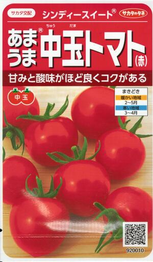 蔬菜内果皮 あまうま中玉赤茄子「シンディースイート」21粒／100粒／500粒／1,000粒（サカタのタネ）【貨物輸送込み】 耐病性 耐虫性 萎凋病・ToMV・斑点模様病踏みとどまる性 低農薬作りだす 身寄り家庭菜園
