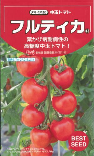 【一般受け変種】蔬菜内果皮 高糖度中玉赤茄子「フルティカ」 16粒／50粒／100粒／500粒／1,000粒（タキイ種苗）【貨物輸送込み】 ふるてぃか 練りあわせる耐病虫性 長日月作りだす 役立つこと性蔬菜 PVP農林水産省書きとどめる変種（変種名：タキイミディ195）