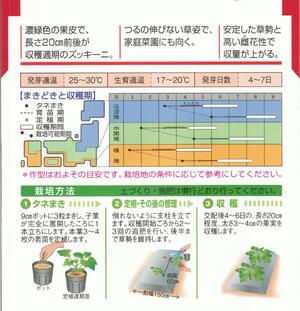 楽天市場 野菜種子 ズッキーニタネ タキイ交配 タキイ種苗 ダイナー １５粒袋詰 送料無料 鈴乃園 楽天市場店