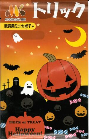 蔬菜内果皮 ハロウィン向けミニ西洋かぼちゃ「瞞着手段」 8粒／100粒（ヴィルモランみかど）【貨物輸送込み】把捉用西洋かぼちゃ かぼちゃ 西洋かぼちゃ 放任作りだす