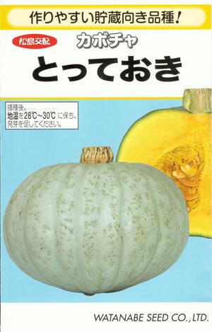 楽天市場 野菜種子 かぼちゃたね 松島交配 渡辺採種場 とっておき ９粒袋詰 送料無料 鈴乃園 楽天市場店