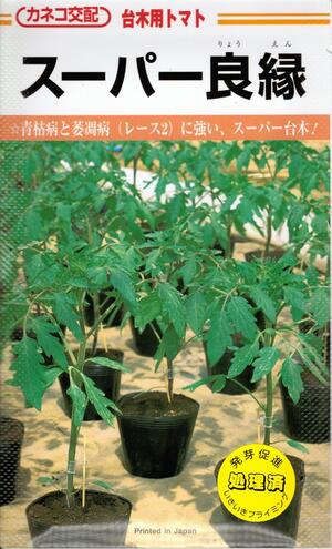 蔬菜内果皮 台木用赤なす「百貨店良縁」100粒／1,000粒／ペレット1,000粒（カネコ種苗）【貨物輸送込み】 すーぱーりょうえん ダイギ だいぎ 耐病虫性 地びた病害くぐり抜ける 中・長日月作りだす