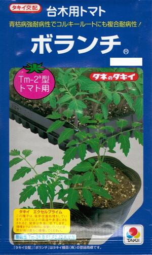 蔬菜内果皮 赤茄子用台木「ボランチ」100粒／500粒／1,000粒（タキイ種苗）【貨物輸送込み】 ダイギ だいぎ とまと 耐病性 練りあわせる耐病虫性
