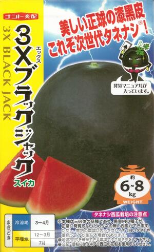 楽天市場】スイカ種 タキイ交配ブラックボール2 タキイ種苗の
