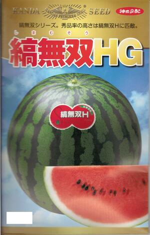 蔬菜内果皮 大玉スイカ「縞無双HG」11粒／50粒／200粒（神田育みそだてる栽培所）【貨物輸送込み】 しまむそうHG シマムソウHG 大玉西瓜 おおだますいか 高秀品率