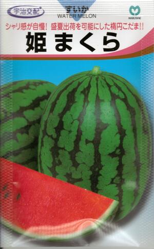 草片内果皮 楕円面小玉スイカ「姫まくら」7粒／30粒／50粒／200粒（丸種）【貨物輸送込み】 ひめまくら ヒメマクラ 小玉西瓜 こだますいか