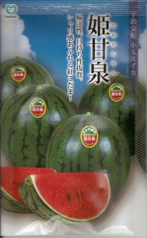 草片内果皮 小玉スイカ「姫甘泉」7粒／50粒／200粒（丸種）【貨物輸送込み】 ひめかんせん ヒメカンセン 小玉西瓜 こだますいか