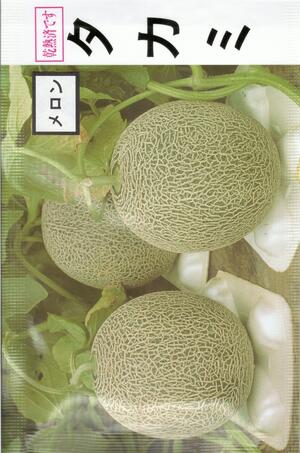 楽天市場】野菜種子 『大和農園』 メロン種子 エメラルドメロン