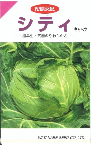 野菜種子 極早生キャベツ「シティ」1.1ml(約170粒)/5ml/10ml/20ml/ペレット5,000粒(渡辺採種場)【送料込み】 シテイ 甘藍 きゃべつ 極晩抽 極早生 春夏秋まき 生食向き 野菜 種 家庭菜園 園芸 農業|鈴乃園 店