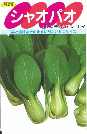 蔬菜内果皮 ミニチンゲンサイ「シャオパオ」3ml／20ml／2デシリットル（サカタのタネ）【貨物輸送込み】 青梗菜 頤遺伝因子菜 ちんげん菜 ちんげんさい 中国蔬菜 和食 洋食 中華