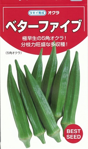 蔬菜内果皮 五角ガンボ「もっと良いファイブ」115粒／500粒／1,000粒／10,000粒（タキイ種苗）【貨物輸送込み】 陸蓮根 秋葵 おくら アメリカネリ 極早生 多収