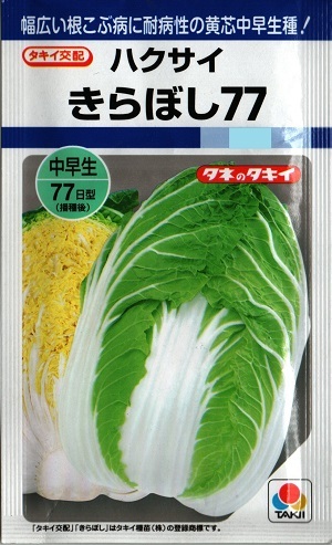 草片内果皮 ハクサイ「きらぼし77」0.9ml／ペレット5,000粒（タキイ種苗）【貨物輸送込み】 白菜 はくさい 中早生