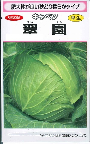 野菜種子 キャベツ「翠園」　1.1ml（約120粒）／5ml／10ml／20ml／ペレット5,000粒（渡辺採種場）【送料込み】 すいえん スイエン 甘藍 きゃべつ 早生 肥大性 野菜 種 家庭菜園 園芸 農業｜鈴乃園　店 12,166円