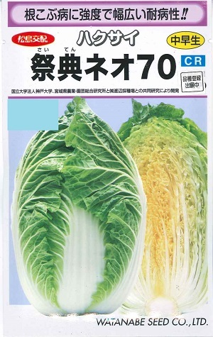 蔬菜内果皮 ハクサイ「祝い事ネオ70」0.7ml（約100粒）／10ml／20ml／1デシリットル（渡辺採種場）【貨物輸送込み】 さいてんネオ70 中早生 耐病性 白菜 はくさい 農林水産省変種書きとどめる需要中（変種名：TC9112）