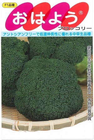 楽天市場】ブロッコリー 種 おはよう 【2000粒】 大袋 営利用 サカタ