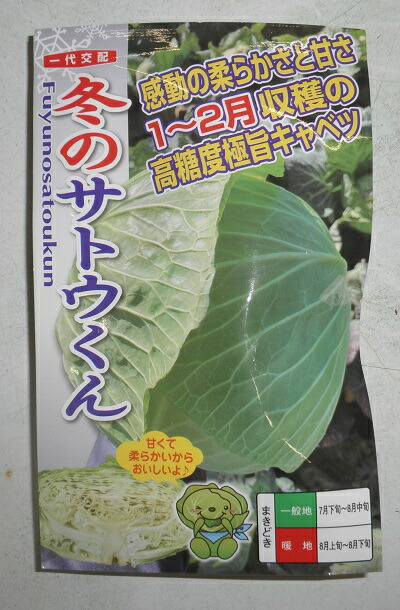 野菜種子 キャベツ「冬のサトウくん」コ−ト40粒/コート1,000粒/コート5,000粒(ナント種苗)【送料込み】 ふゆのさとうくん 甘藍 きゃべつ 高糖度極甘 早晩生 萎黄病抵抗性 耐寒性 在圃性|鈴乃園 店