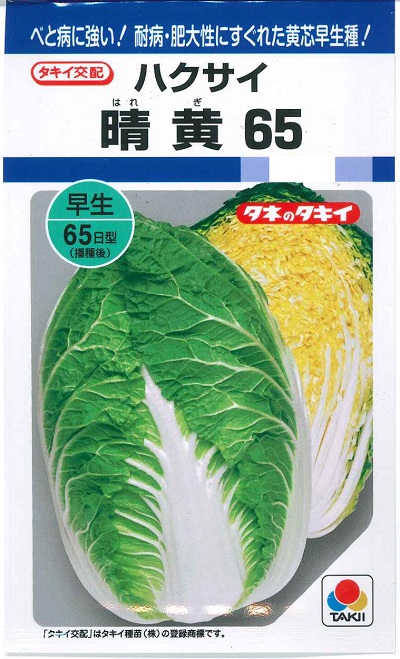 野菜種子 ハクサイ「晴黄65」 0.8ml(約160粒)/ペレット5,000粒(タキイ種苗)【送料込み】 はれぎ65 ハレギ65 白菜 はくさい 早生 べと病耐病性 肥大性 65日タイプ|鈴乃園 店