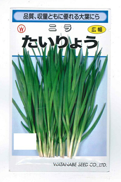 楽天市場】【にら】 球根 （奈良県産） 3株入り （植え付け時期7月