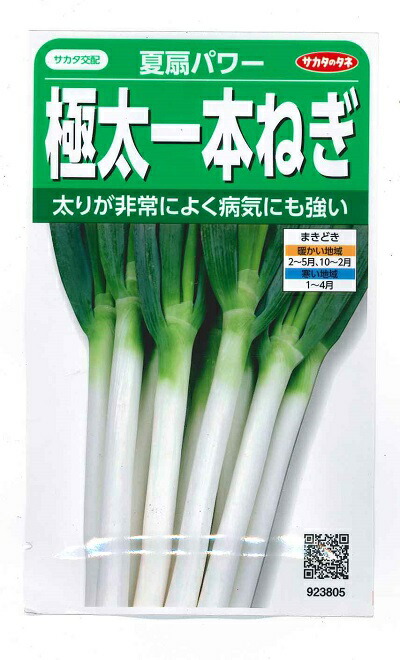 楽天市場】ネギ 種 夏扇4号 一本ネギ 1dl 大袋 営利用 サカタ の