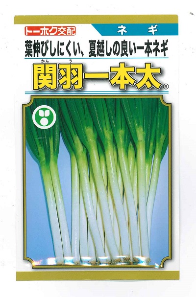 楽天市場】野菜種子 『タキイ種苗』 ネギたね ふゆわらべ 4