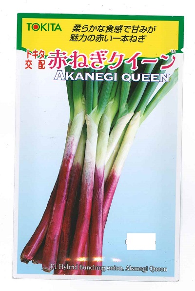 楽天市場】【大人気・在庫限り】野菜種子 葱タネ「たいら一本赤