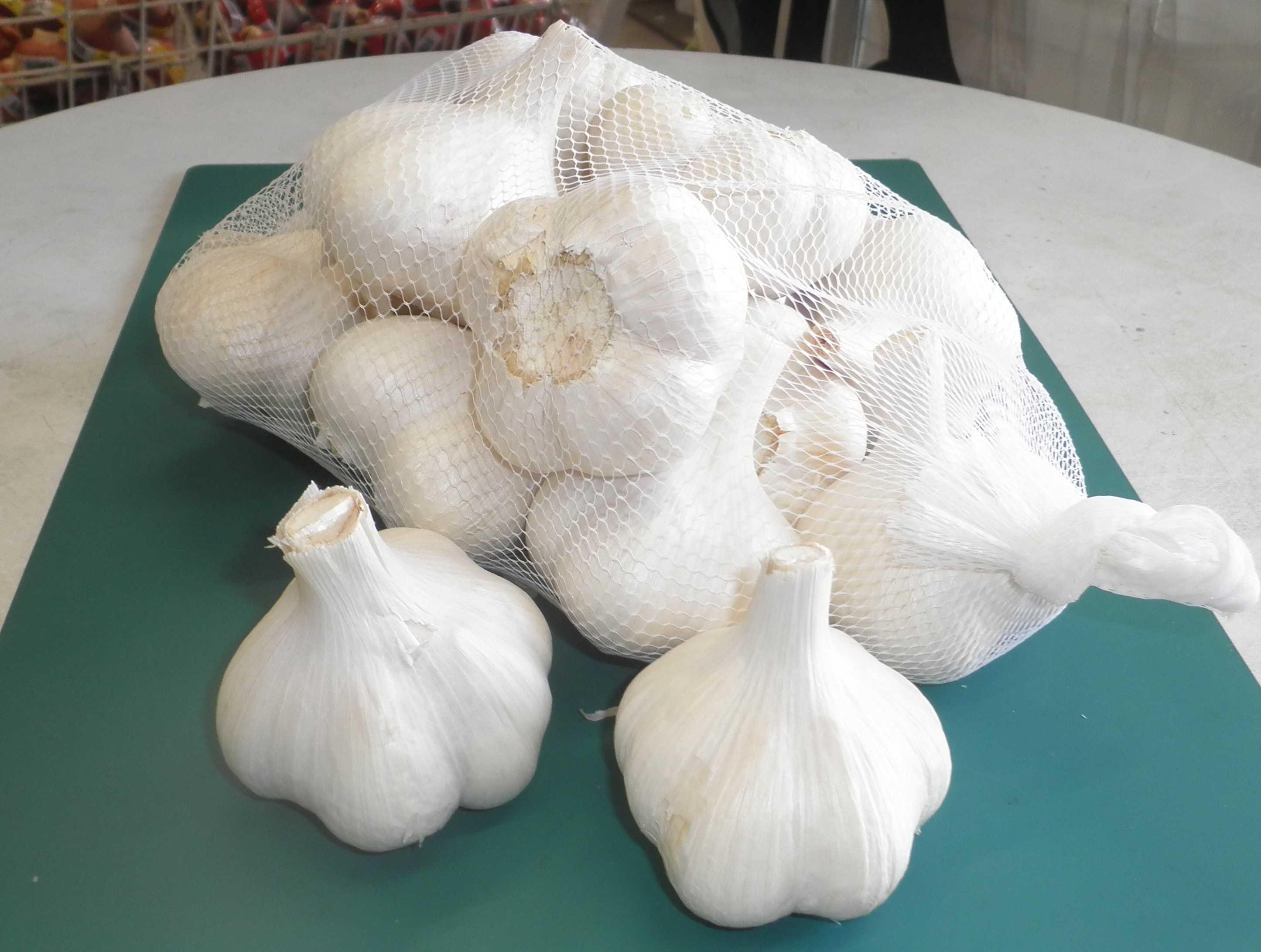 楽天市場】1片でこの大きさ！「 早生 ジャンボニンニク 種 (山口県産