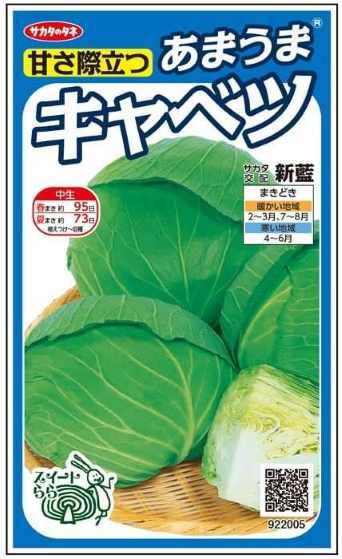 蔬菜内果皮 あまうま玉菜「新藍」0.8ml／500粒／2,000粒／ペレット100粒／ペレット300粒／ペレット500粒／ペレット1,000粒／ペレット5,000粒（サカタのタネ）【貨物輸送込み】 しんらん 玉菜 きゃべつ 耐病性 肉付きのよい性 生食 工業 身寄り家庭菜園