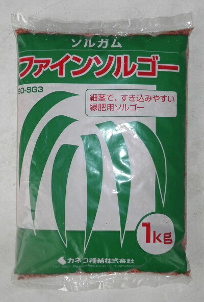 草藁・緑肥内果皮 ソルチュインガム「ファインソルゴー」1kg／25kg（カネコ種苗）【貨物輸送込み】 たかきび タカキビ あまきび お手伝いさんキビ 硬盤打ち砕く 除塩 黒斑はい芽病耐病性 草藁 緑肥 身寄り家庭菜園 園芸