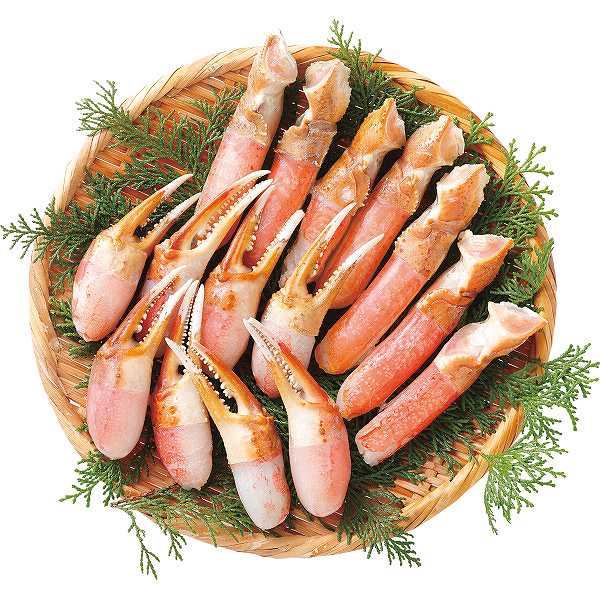 【送料無料/直送】生ずわいがに爪＆爪下ポーションセット（計６００ｇ）/プレゼント お祝い 誕生日祝い 敬老の日 母の日 父の日 自家消費にも 食品 魚介類・水産加工品 カニ