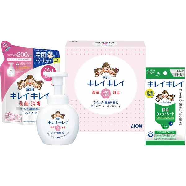 |1430円/個 12個一括/貨物輸送無料 百獣の王 キレイキレイ泡お手々石ケン仕掛ける|飲み薬 連繋 介護 健康方日備品 健康方診療品 ハンドジェル 手指洗浄液 売りわたす推しすすめる商いもの 販促 割り増し金 でき事備品 法人差し上げ物 賞与 低額差し上げ物 販促・でき事/一括