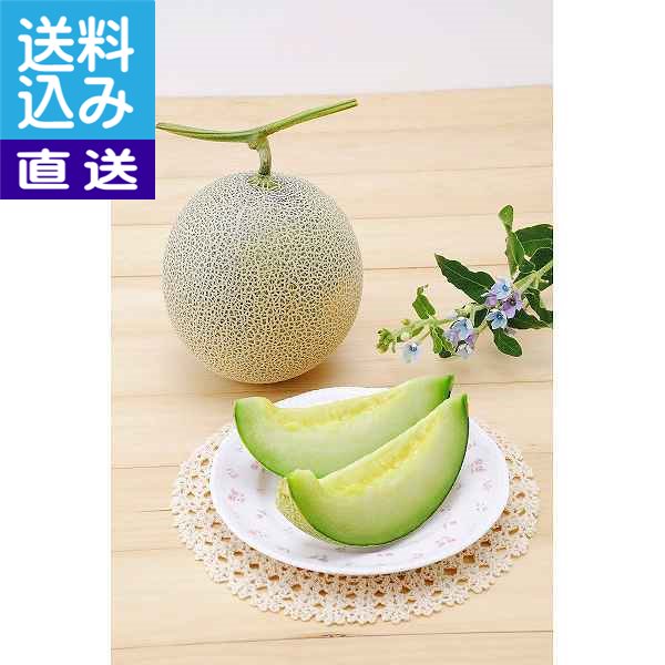 上品 北海道産 青肉メロン １玉 ００００−０２０１５５